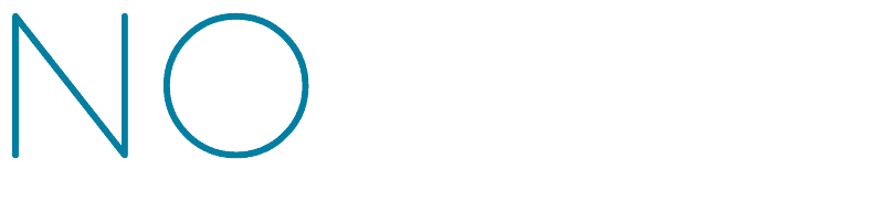 no limits logo 2